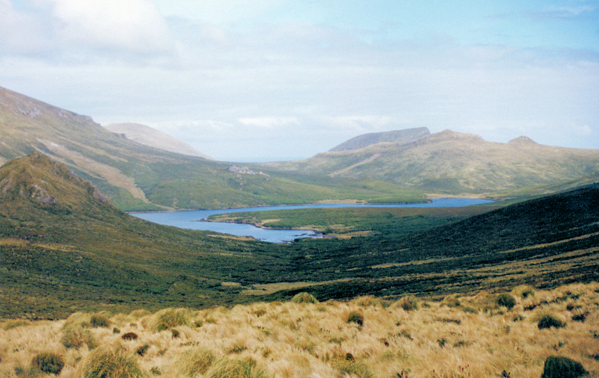 Campbell Island, New Zealand