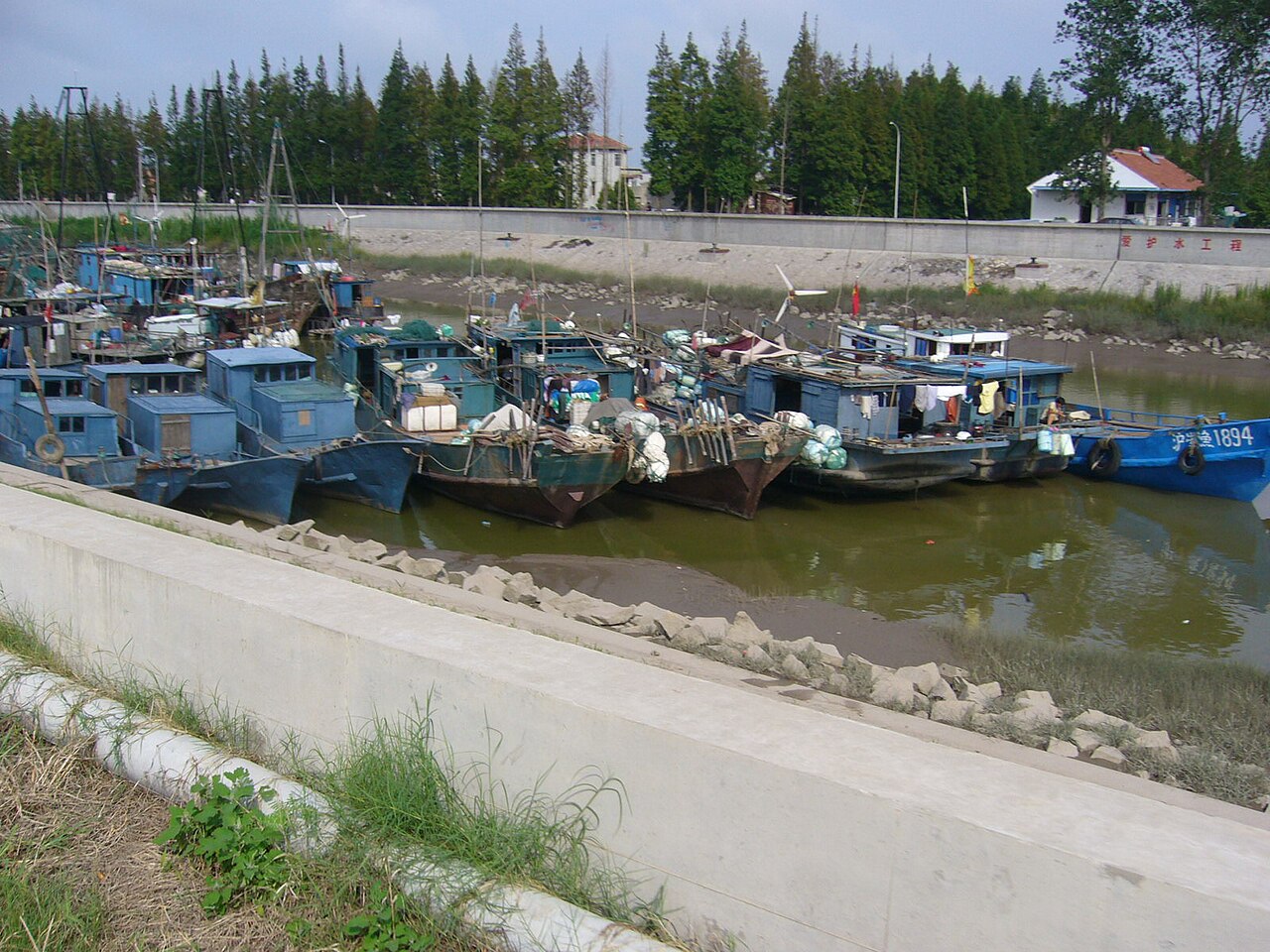 Chongming Island