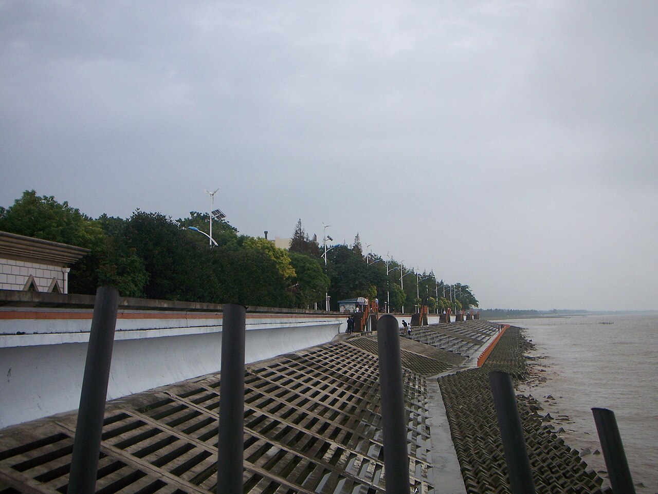 Chongming Island